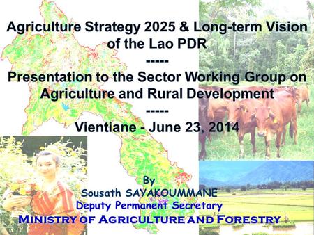 Agriculture Strategy 2025 & Long-term Vision of the Lao PDR