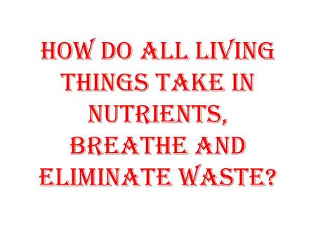 How do all living things take in nutrients, breathe and eliminate waste?