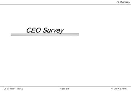 CS-QI-091-04 (1/4) R.2Cad & SoftA4 (290 X 217 mm) CED Survey CEO Survey.