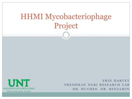 ERIN HARVEY FRESHMAN NGRI RESEARCH LAB DR. HUGHES, DR. BENJAMIN HHMI Mycobacteriophage Project.