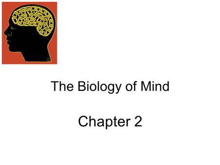 The Biology of Mind Chapter 2. The Biology of Mind Neural Communication  Neurons  How Neurons Communicate  How Neurotransmitters Influence Us The Nervous.