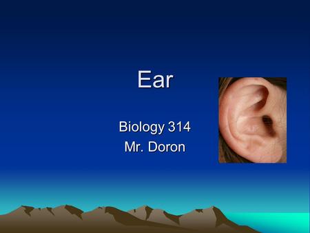 Ear Biology 314 Mr. Doron. Featuring Function of the ear Anatomy of the ear Facts and questions / answers.