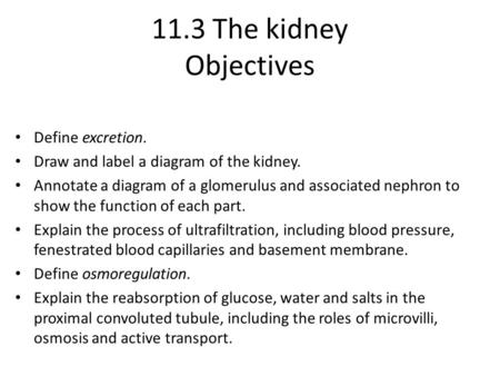 11.3 The kidney Objectives Define excretion.