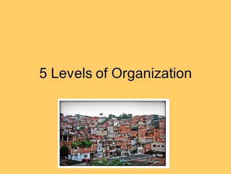 5 Levels of Organization. Cells Tissues Organs Organ Systems Organism.
