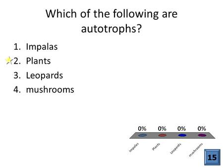 Which of the following are autotrophs?