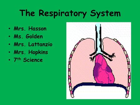 The Respiratory System Mrs. Hasson Ms. Golden Mrs. Lattanzio Mrs. Hopkins 7 th Science.