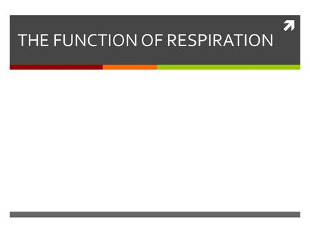  THE FUNCTION OF RESPIRATION. Almost every organism requires oxygen for cellular respiration: C 6 H 12 O 6 + O 2 → H 2 O + CO 2 + ATP (energy) The job.