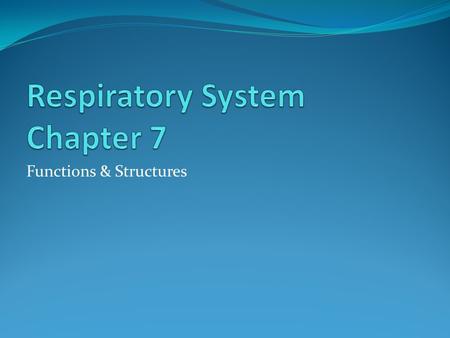 Functions & Structures. Term review -rrhea Abnormal discharge -rrhagia bleeding -ectomy Surgical removal -otomy surgical incision -ostomy Surgical creation.