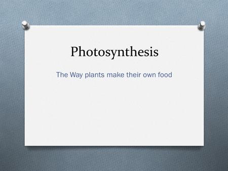 Photosynthesis The Way plants make their own food.