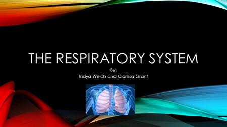 THE RESPIRATORY SYSTEM By: Indya Welch and Clarissa Grant.