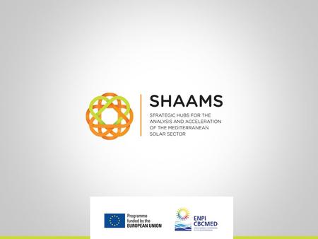 SHAAMS Next steps in Lebanon Policy Accelerator Policy Accelerator Activities Activity 1 Participant stakeholders identification Activity 2 Implementation.