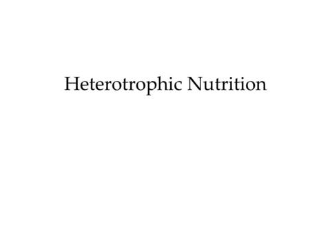 Heterotrophic Nutrition Organisms that obtain food are heterotrophs Ingestion- Taking in food Digestion- Breaking down food 2 Types: 1. Intracellular.