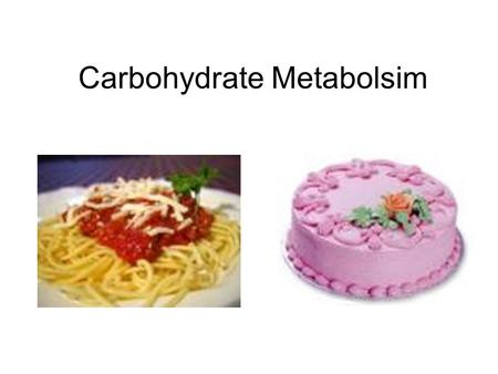 Carbohydrate Metabolsim