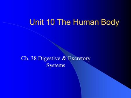 Ch. 38 Digestive & Excretory Systems