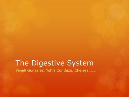 The Digestive System Yaneli Gonzalez, Yshia Condezo, Chelsea ……