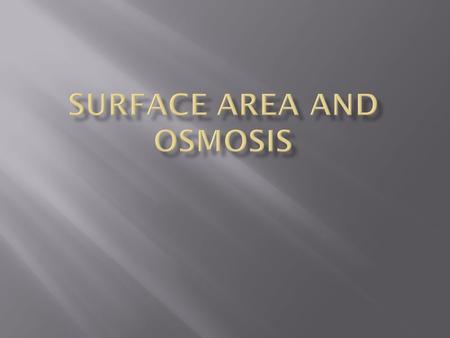  In our lab we attempted to answer the question of if surface area affected osmosis rates. To accomplish this we created 4 different shapes out of potato,