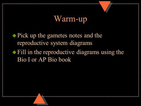 Warm-up u Pick up the gametes notes and the reproductive system diagrams u Fill in the reproductive diagrams using the Bio I or AP Bio book.