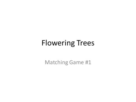 Flowering Trees Matching Game #1. Shade Trees 001 Bald Cypress 002 Ginkgo 003 Honey Locust 004 Japanese Maple 005 Little Leaf Linden 006 Northern Red.