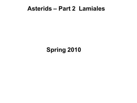Asterids – Part 2 Lamiales Spring 2010. “basal” asterids (Asterids I) (Asterids II) Figure 9.4 from the text.