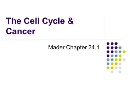 The Cell Cycle & Cancer Mader Chapter 24.1.