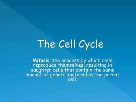 Mitosis: the process by which cells reproduce themselves, resulting in daughter cells that contain the same amount of genetic material as the parent cell.