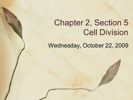 Chapter 2, Section 5 Cell Division Wednesday, October 22, 2009.