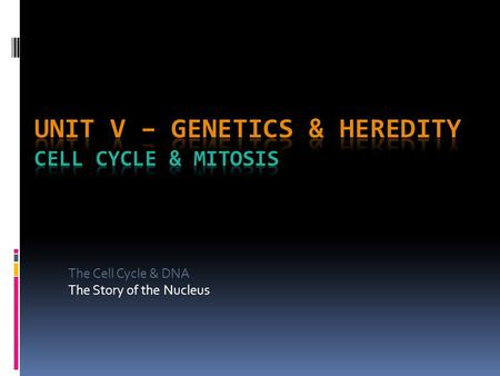 Unit V – Genetics & Heredity Cell Cycle & Mitosis