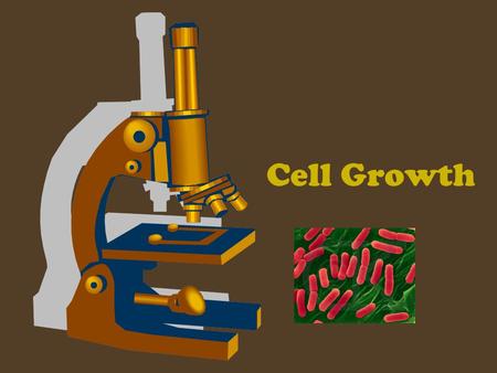 Cell Growth. Before a cell gets too large, it divides forming two “daughter” cells.