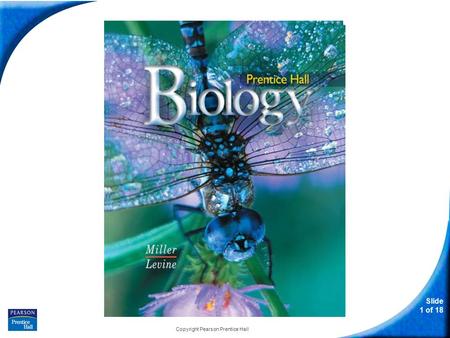 Slide 1 of 18 Copyright Pearson Prentice Hall Biology.