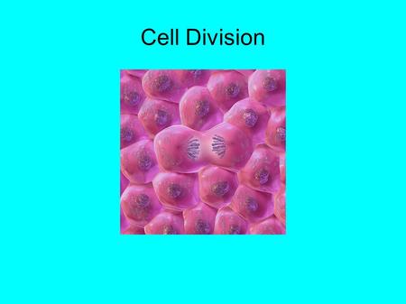 Cell Division. Cell division consists of two phases: ● nuclear division ● cytokinesis = division of the cytoplasm.