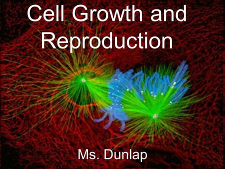 Ms. Dunlap Cell Growth and Reproduction. DO NOW Q1: When a living thing grows, what happens to its cells? Q2: What are the two main reasons why cells.