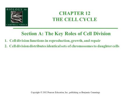 CHAPTER 12 THE CELL CYCLE Copyright © 2002 Pearson Education, Inc., publishing as Benjamin Cummings Section A: The Key Roles of Cell Division 1.Cell division.