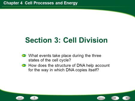 Chapter 4 Cell Processes and Energy What events take place during the three states of the cell cycle? How does the structure of DNA help account for the.