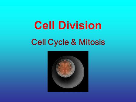 Cell Division Cell Cycle & Mitosis. Why do cells divide? DNA Overload – the larger the cell grows, the greater the demands are placed on the cell’s DNA.