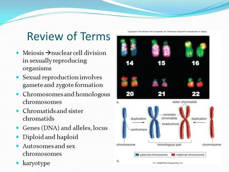 Review of Terms Used in Meiosis Meiosis  nuclear cell division in sexually reproducing organisms Sexual reproduction involves gamete and zygote formation.