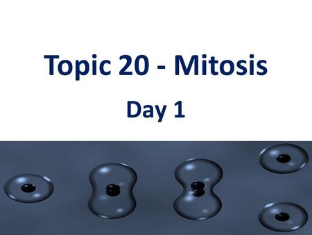 Topic 20 - Mitosis Day 1.