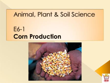Animal, Plant & Soil Science E6-1 Corn Production