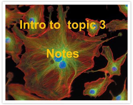 Intro to topic 3 Notes There are 2 reasons cells divide rather than grow indefinitely. 1. The larger that cells become, the more demand the cell places.