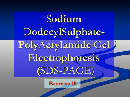 Sodium DodecylSulphate- PolyAcrylamide Gel Electrophoresis (SDS-PAGE)