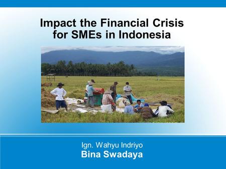 Impact the Financial Crisis for SMEs in Indonesia Ign. Wahyu Indriyo Bina Swadaya.