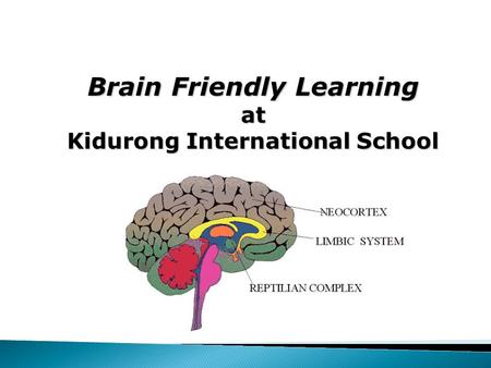 Brain Friendly Learning at Kidurong International School.