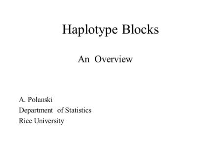 Haplotype Blocks An Overview A. Polanski Department of Statistics Rice University.