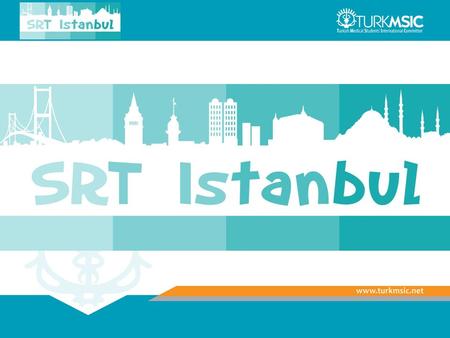 19 – 22 May 2011 TurkMSIC – Yeditepe University Istanbul TURKEY.