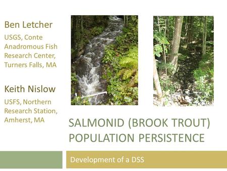 SALMONID (BROOK TROUT) POPULATION PERSISTENCE Development of a DSS Ben Letcher USGS, Conte Anadromous Fish Research Center, Turners Falls, MA Keith Nislow.