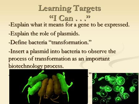 Learning Targets “I Can...” -Explain what it means for a gene to be expressed. -Explain the role of plasmids. -Define bacteria “transformation.” -Insert.