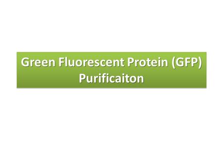 Green Fluorescent Protein (GFP) Purificaiton. Recombinant Cell.