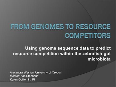 Using genome sequence data to predict resource competition within the zebrafish gut microbiota Alexandra Weston, University of Oregon Mentor: Zac Stephens.