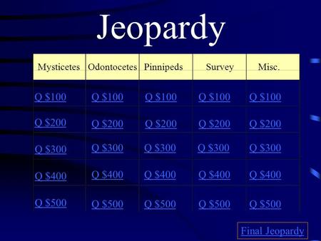 Jeopardy MysticetesOdontocetesPinnipedsSurvey Misc. Q $100 Q $200 Q $300 Q $400 Q $500 Q $100 Q $200 Q $300 Q $400 Q $500 Final Jeopardy.