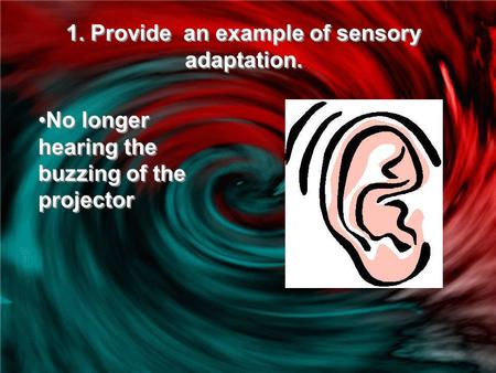 1. Provide an example of sensory adaptation. No longer hearing the buzzing of the projector.