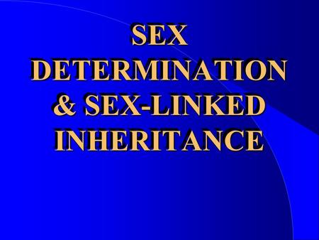 SEX DETERMINATION & SEX-LINKED INHERITANCE. SEX DETERMINATION l The greatest difference between individual members of the same species is their sex.